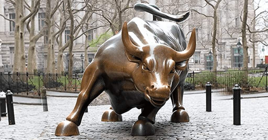bull