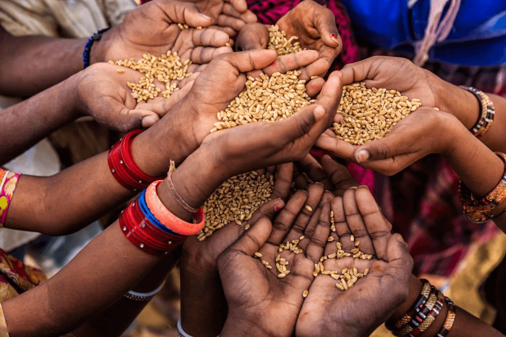 zero hunger img new