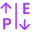 PE Icon
